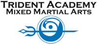 Trident Acdemy